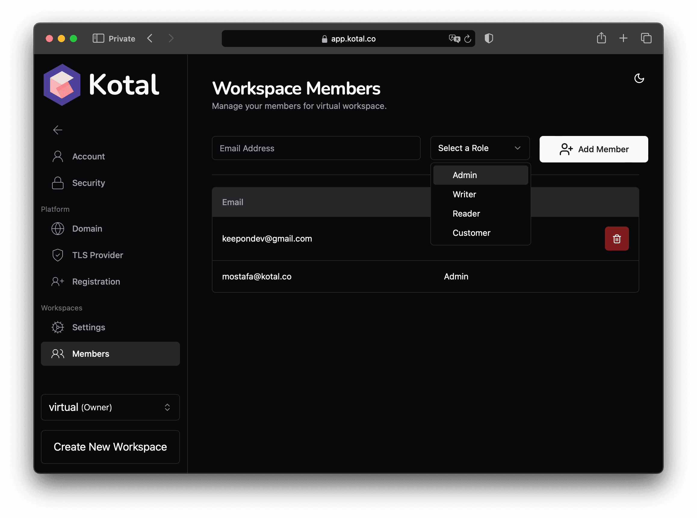 Manage workspace members