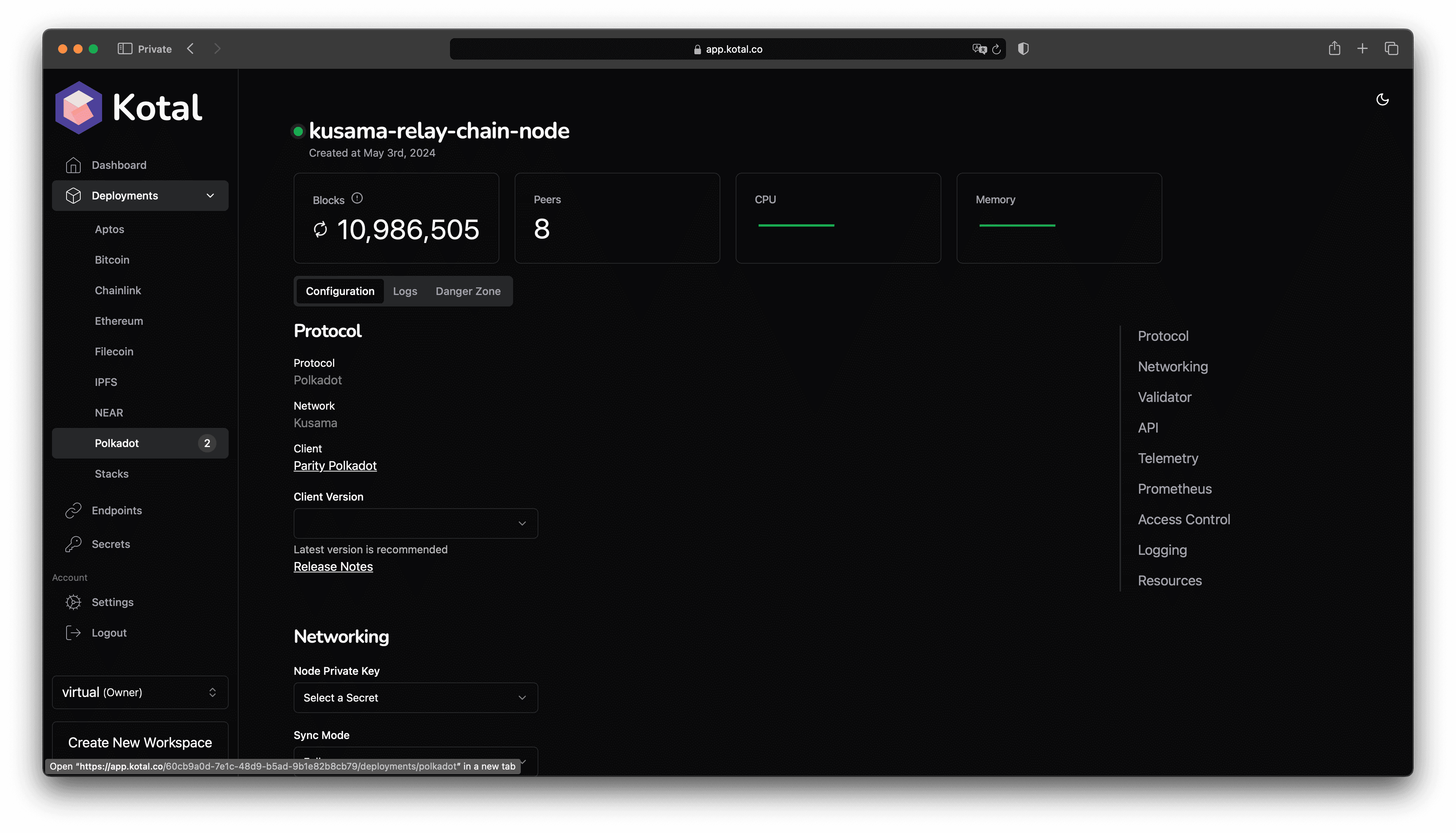 kusama relay chain node