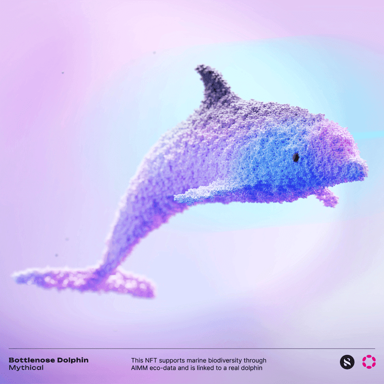 sub0 dolphin
